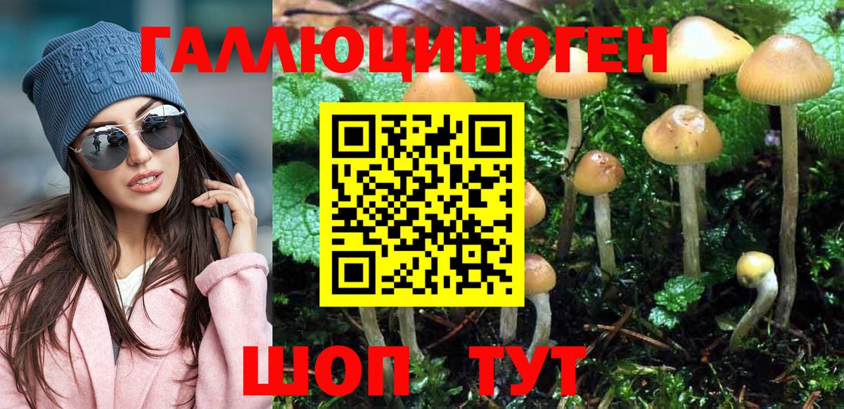 Галлюциногенные грибы мицелий  Псилоцибиновые грибы Magic Shrooms  Свободный  Вход с VPN 